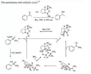 機理與催化循環