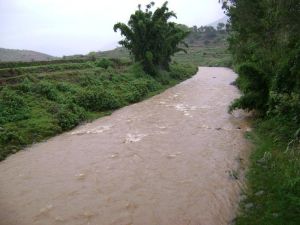 水碓房自然村 水碓房自然村