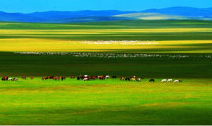 草原農業區 草原農業區