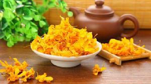 雁盪山鐵皮石斛