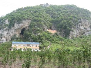 來賓龍洞 來賓龍洞