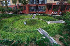 雨水花園 雨水花園