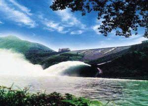 水庫效應 水庫效應