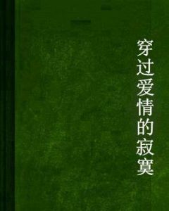 穿過愛情的寂寞 穿過愛情的寂寞