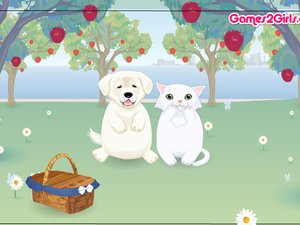 甜蜜的情侶 甜蜜的情侶