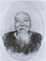 苜蓿花葉病毒屬 苜蓿花葉病毒屬