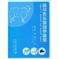 綿羊實體解剖學圖譜 綿羊實體解剖學圖譜