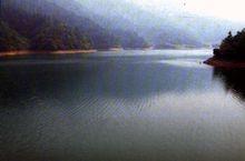 湖南千家峒國家森林公園