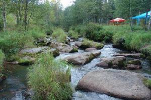 黃河口國家森林公園