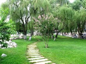 月河公園 月河公園