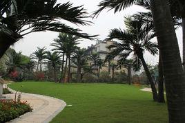 仿真園林 仿真園林