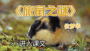 旅鼠之謎 旅鼠之謎