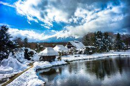 忍野八海 忍野八海