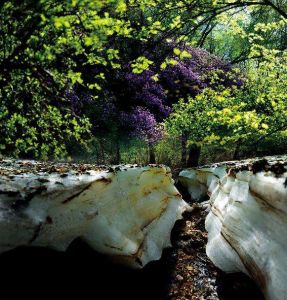 黑里河鎮 黑里河鎮