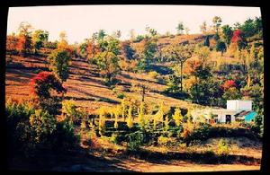 大悟河口鎮 大悟河口鎮