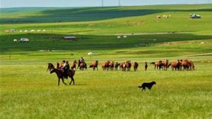 巴彥呼碩草原風情旅遊區 巴彥呼碩草原風情旅遊區