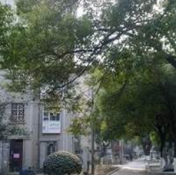 塔影二村 塔影二村