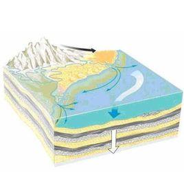 沉積後作用 沉積後作用