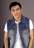 梅艷芳菲[2007年趙寶剛執導電視劇]