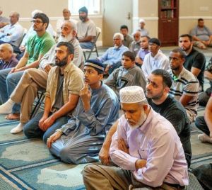 哈尼夫分子 哈尼夫分子