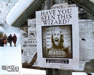 《哈利·波特與阿茲卡班的囚徒》[電影]