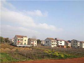 武莊村[河南省許昌市鄢陵縣陳化店鎮下轄村]