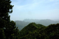 關隴大道 關隴大道