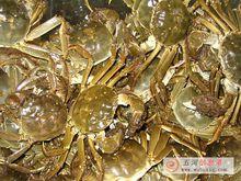 五河沱湖濕地風景區