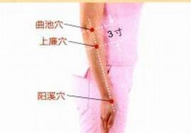 上廉[經絡理論]