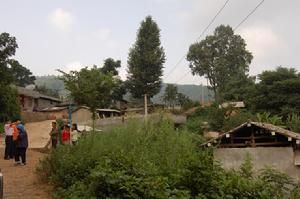 泥母豬村 泥母豬村