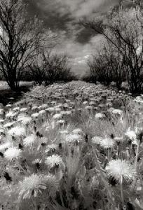 《流浪於愛情之外》