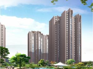 福興國際 福興國際