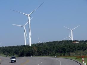 愛於莊村 愛於莊村