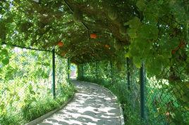 農業生態旅遊 農業生態旅遊