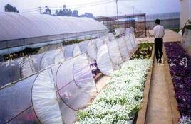 北京華盾雪花塑膠集團有限責任公司