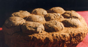 蛋殼化石 蛋殼化石