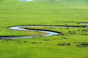 呼倫貝爾景點 呼倫貝爾景點