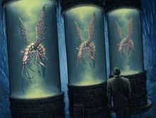 米&middot;戈一族的高科技造物