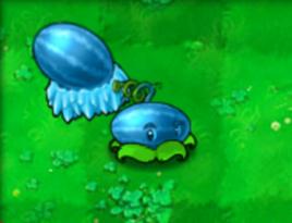 冰瓜投手 冰瓜投手