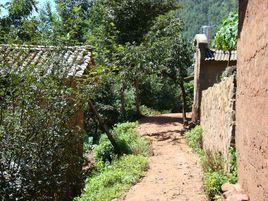 小陡咀村 小陡咀村