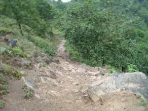 卜宜自然村 卜宜自然村