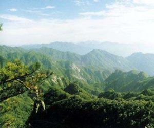 珍珠山森林公園 珍珠山森林公園