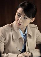 《再婚進行時》