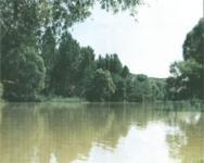 祁縣九溝風景旅遊區 祁縣九溝風景旅遊區