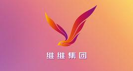 維維集團 維維集團