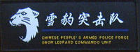 雪豹突擊隊
