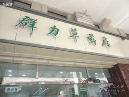 上海群力草藥店 上海群力草藥店