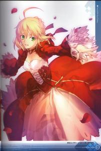 被深紅所纏繞的優雅的暴君