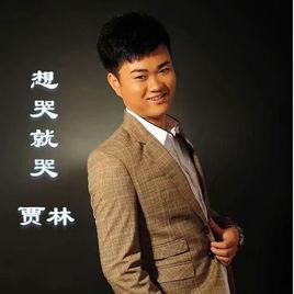 想哭就哭[賈林演唱歌曲]