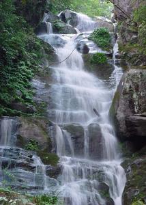 黎平國家森林公園